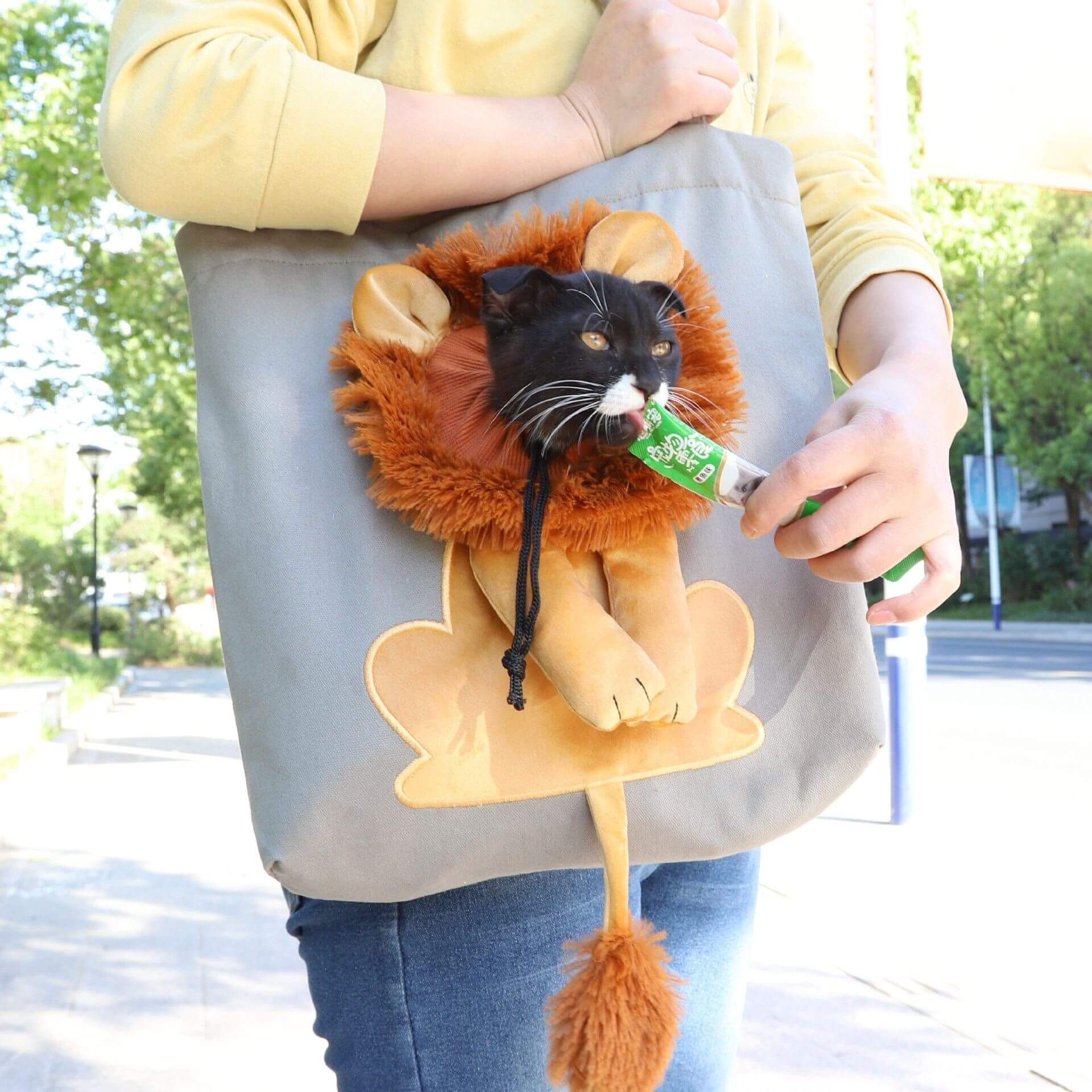 NebulaFlux 0 Soft Pet Carriers Lion Design Portable