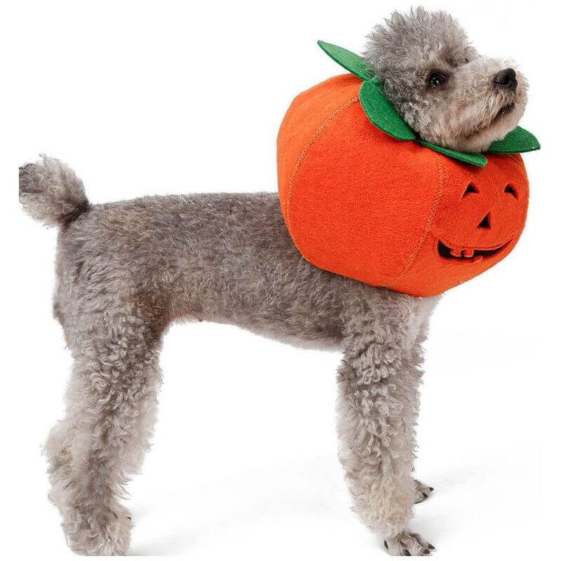 NebulaFlux Calming and aromatherapy pet accessories Pet Halloween Pumpkin Collars Cute Pet Cosplay Accessories