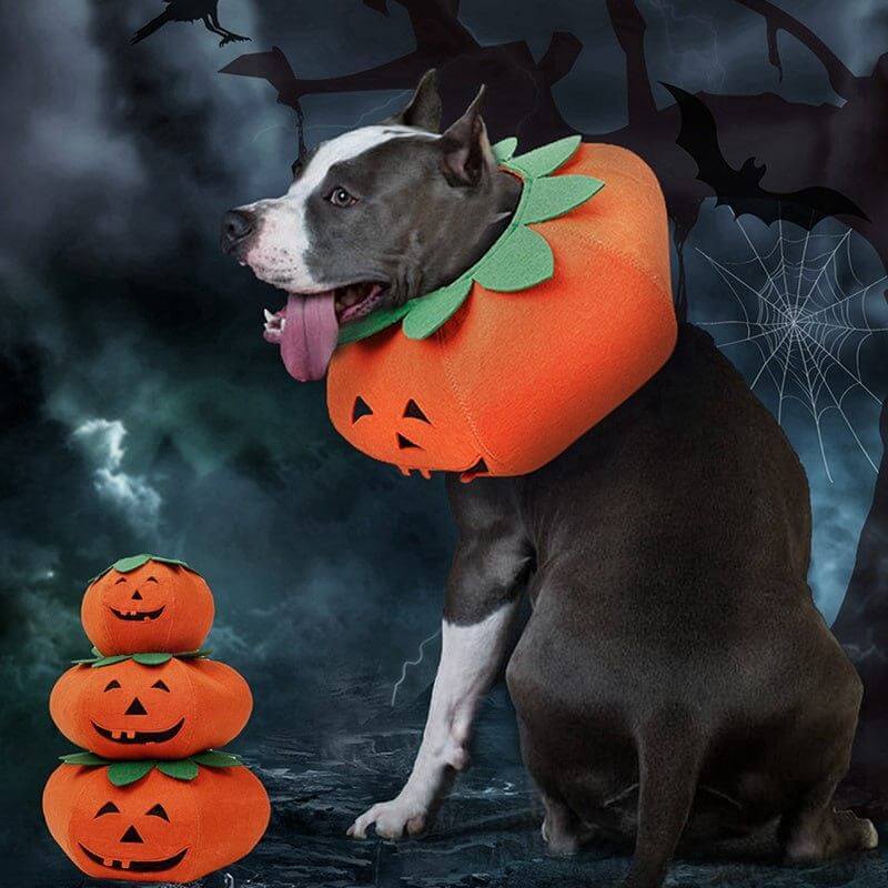 NebulaFlux Calming and aromatherapy pet accessories Pet Halloween Pumpkin Collars Cute Pet Cosplay Accessories