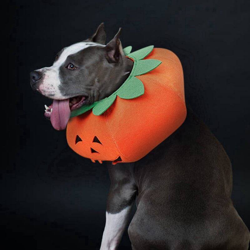 NebulaFlux Calming and aromatherapy pet accessories Pet Halloween Pumpkin Collars Cute Pet Cosplay Accessories