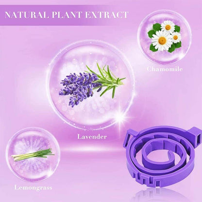 NebulaFlux Calming and aromatherapy pet accessories Pet Soothing Calming Collar Cat