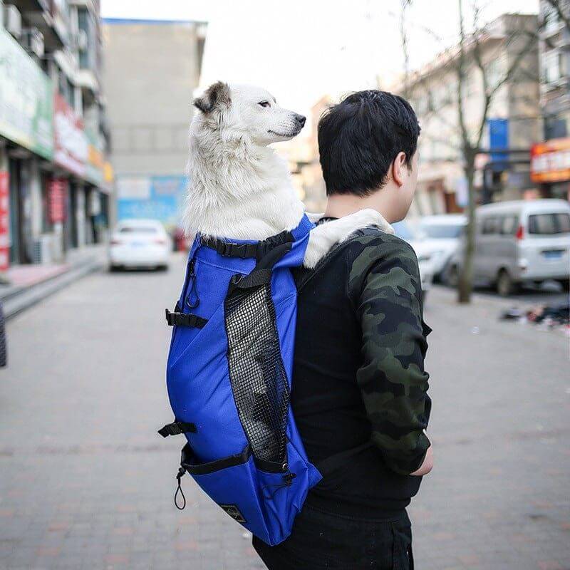 NebulaFlux Elegant pet carriers with fashionable de Pet Dog Carrier Bag Carrier For Dogs Backpack Out Double Shoulder Portable Travel Backpack Outdoor Dog Carrier Bag Travel