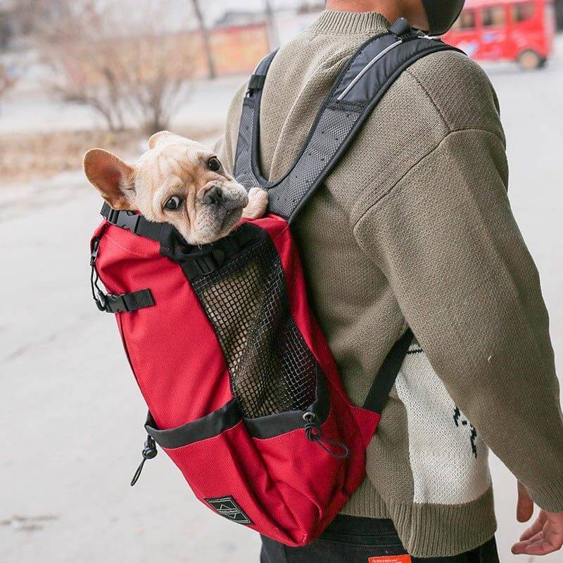 NebulaFlux Elegant pet carriers with fashionable de Pet Dog Carrier Bag Carrier For Dogs Backpack Out Double Shoulder Portable Travel Backpack Outdoor Dog Carrier Bag Travel