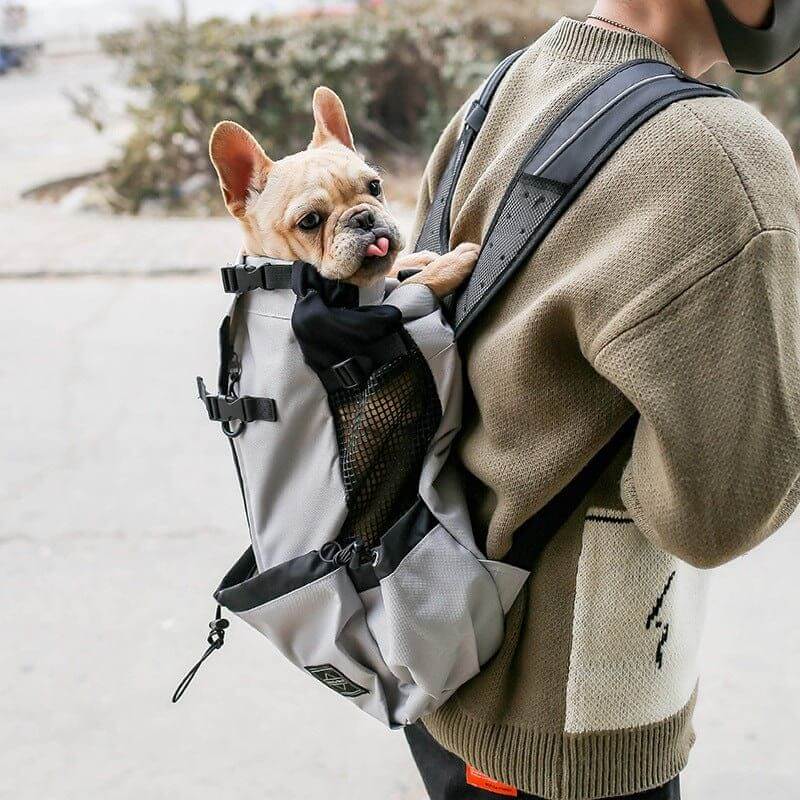 NebulaFlux Elegant pet carriers with fashionable de Pet Dog Carrier Bag Carrier For Dogs Backpack Out Double Shoulder Portable Travel Backpack Outdoor Dog Carrier Bag Travel