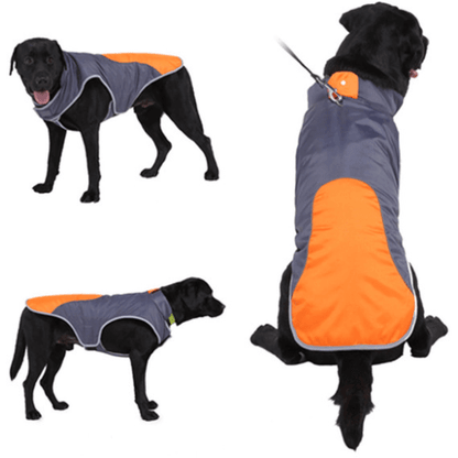 NebulaFlux Fun and colorful pet toys with unique sh Orange grey / L Pet reflective jacket