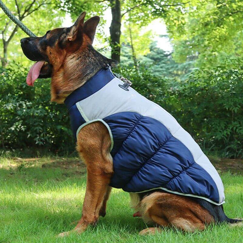 NebulaFlux Fun and colorful pet toys with unique sh Pet Clothes Warm Reflective Clothing Waterproof