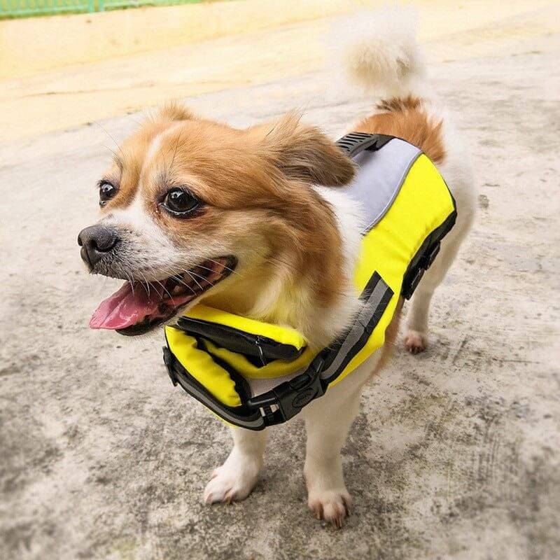 NebulaFlux Fun and colorful pet toys with unique sh Pet Reflective Airbag Nylon Life Jacket